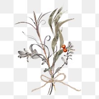 Red berry branch  png sticker, transparent background