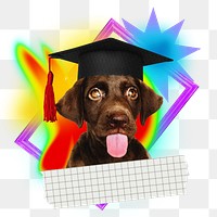 Funny graduate dog png sticker, creative neon gradient remix on transparent background