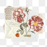 Pink flowers png vintage collage remix, transparent background