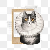 Vintage cat png, animal collage art, transparent background