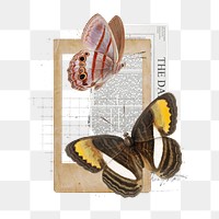 Butterfly aesthetic png, animal collage art, transparent background