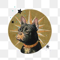 Ephemera dog png vintage collage sticker, transparent background