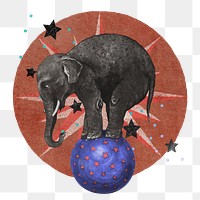 Ephemera collage png vintage circus elephant sticker, transparent background