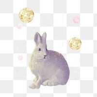 White bunny png, animal collage art, transparent background