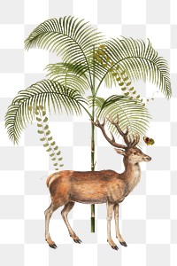 Deer stag png animal sticker, transparent background