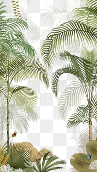 Palm tree png jungle, transparent background