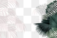 Aesthetic palm trees png border, transparent background