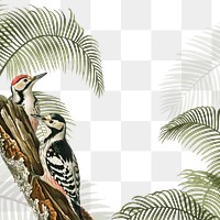 Exotic birds png border, transparent background