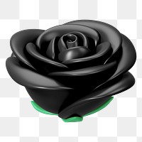 Black rose png flower, 3D illustration, transparent background