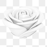 White rose png flower, 3D illustration, transparent background