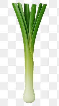 PNG 3D spring onion vegetable, element illustration, transparent background