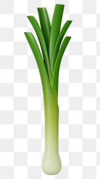 PNG 3D spring onion vegetable, element illustration, transparent background