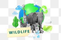 Wildlife, environment png word element, 3d remix, transparent background