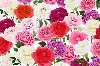 Colorful carnation png botanical pattern, transparent background