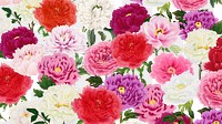 Spring carnation png colorful flowers, transparent background