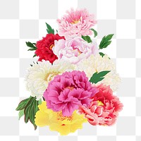 Colorful carnation flower png element, transparent background