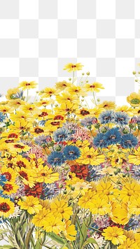 Yellow flower png border, transparent background