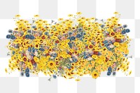 Yellow wildflower png divider, colorful botanical illustration, transparent background