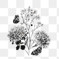 China aster flower png element, transparent background