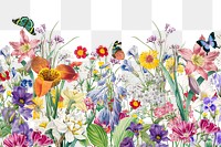 Colorful spring flowers png border, transparent background