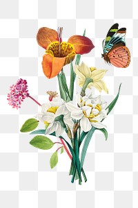 Mexican shell flower png element, transparent background