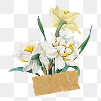 Vintage daffodil flowers png washi tape, journal collage element, transparent background