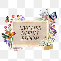 Live life in full bloom png quote, aesthetic flower collage art on transparent background