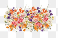 Wedding flower png divider, colorful botanical illustration, transparent background