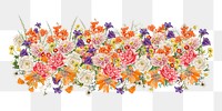 Wedding flower png divider, colorful botanical illustration, transparent background