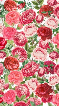 Pink rose png Valentine's flower pattern, transparent background