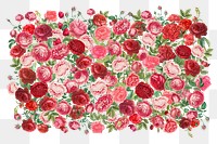 Pink Valentine's roses png, flower collage art on transparent background