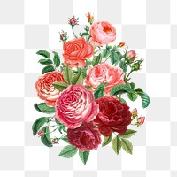 Pink Valentine's rose png flower bouquet, transparent background