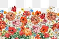 Colorful Summer flowers png border, transparent background