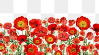 Red poppy flowers png border, transparent background