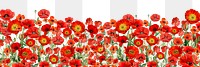 Red poppy flowers png border, transparent background