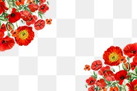 Summer poppy flower png border, transparent background