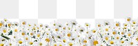 White daisy flowers png border, transparent background