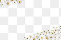 Aesthetic daisy flower png border, transparent background