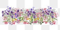 Aesthetic purple flower png divider, botanical illustration, transparent background