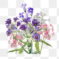 Purple Texas bluebell flower png element, transparent background