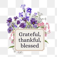 Grateful, thankful, blessed png word, aesthetic flower collage art on transparent background