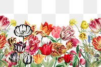 Colorful exotic flowers png border, transparent background