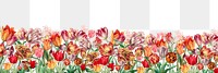 Colorful exotic flowers png border, transparent background