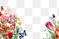 Colorful exotic flowers png border, transparent background