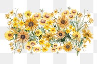 Colorful sunflower png divider, Spring floral illustration, transparent background