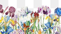 Colorful exotic flowers png border, transparent background