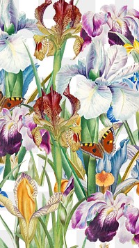 Beautiful iris png flowers, transparent background