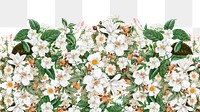 White vintage flowers png border, transparent background