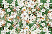 White flowers png vintage border, transparent background