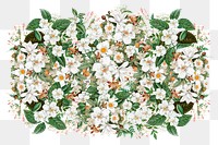 Jasmine flower png, Spring floral collage art on transparent background